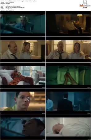 The Beauty S01 1080p WEBRip x265-DH
