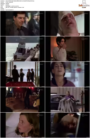 Water Rats S01-S06 WEB-DL AAC2.0 H264-BTN