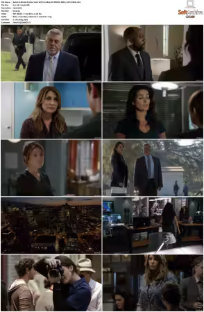 Rizzoli and Isles 2010 S01-S07 1080p NF WEB-DL DDP5.1 AV1-Vialle