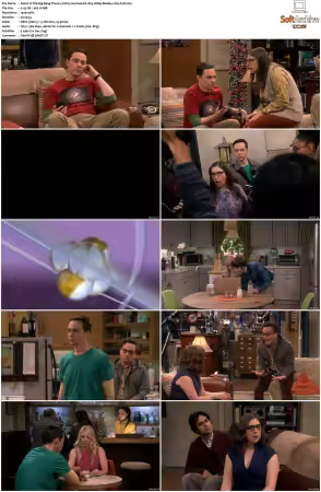 The Big Bang Theory S01-S12 German DL AC3 1080p BluRay x265-FuN