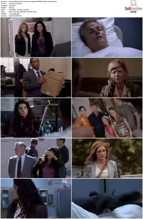 Rizzoli and Isles 2010 S01-S07 1080p NF WEB-DL DDP5.1 AV1-Vialle