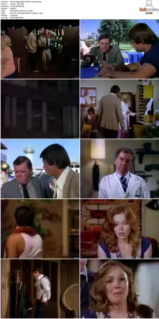 Vegas 1978 S01 S03 480p DVDRip HEVC AAC 2 0 DreadParrot