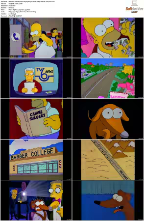 The Simpsons S03 1080p Web-DL x264-OFT
