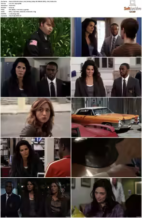 Rizzoli and Isles 2010 S01-S07 1080p NF WEB-DL DDP5.1 AV1-Vialle