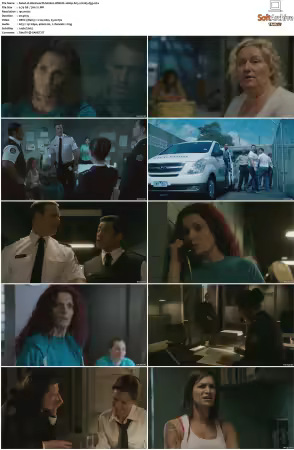 Wentworth S01 S09 1080p WEB h265-d3g