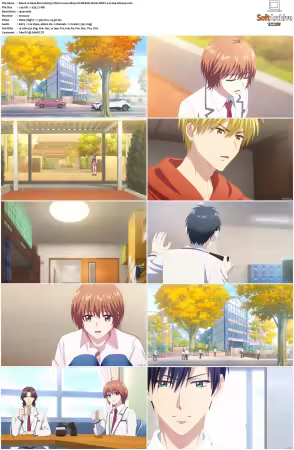 Hana-Kimi S01 1080p CR WEB-DL DUAL DDP2.0 H264-Kitsune