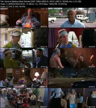 Malibus Most Wanted 2003 1080p WEB-DL HEVC x265 5.1 BONE