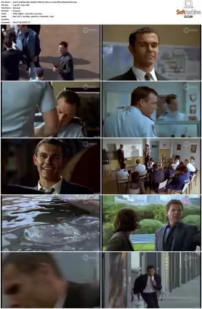 Water Rats S01-S06 WEB-DL AAC2.0 H264-BTN