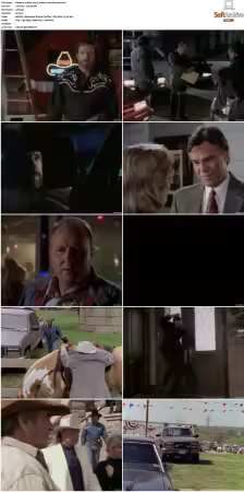 Walker Texas Ranger S01 S09 DVDRip XviD-Mixed
