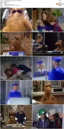 Alf S01 German DL 1080p MiXED x264-TVNATiON