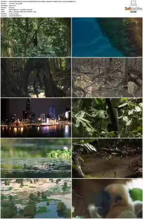 Wild Vietnam S01 2160p HULU WEB-DL DD+5.1 H265-playWEB