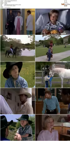 Walker Texas Ranger S01-S09 DVDRip XviD-Mixed