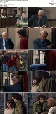 Welcome Back Kotter S01-S04 1080p WEBRip 10Bit DDP2.0 HEVC-d3g