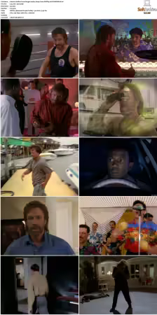 Walker Texas Ranger S01-S09 DVDRip XviD-Mixed