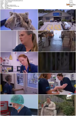 Wildlife ER S01S02 1080p WEB h264-BETTY
