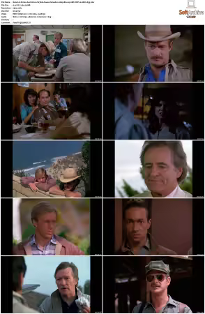 Simon and Simon S01-S08 1080p Blu-ray 10Bit DDP2.0 HEVC-d3g
