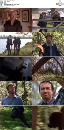 Walker Texas Ranger S01-S09 DVDRip XviD-Mixed