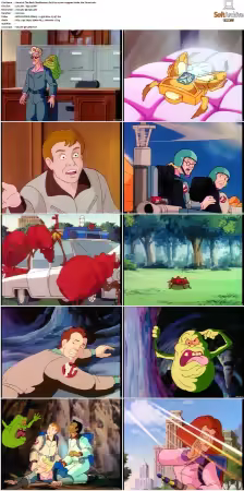 The Real Ghostbusters S01-S07 DVD REMUX-MIXED