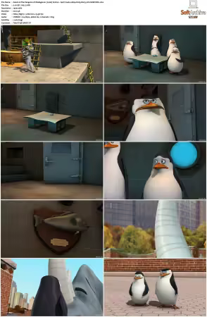 The Penguins of Madagascar 2008 S01-S03 1080p H265 AAC 2CH-MNKYDDL