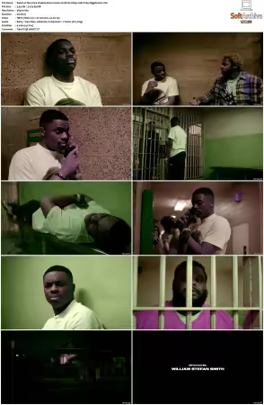 The Vince Staples Show S01 S02 MULTI DV 2160p WEB H265-HiggsBoson