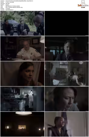 The Sinner 2017 S01 S04 1080p BDRip DDP5.1 x265-Vialle