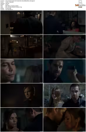 Banshee S01 S04 1080p WEBRip DDP5.1 H265-d3g