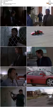 Walker Texas Ranger S01-S09 DVDRip XviD-Mixed
