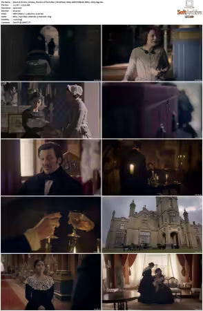 Victoria S01 S03 1080p AMZN WEB-DL DDP5.1 H265-d3g