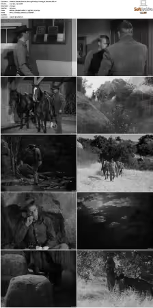 Wanted Dead or Alive 1958 S01 S03 DVDRip XviD-NGP