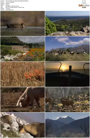 Wild Italy 2015 S01 1080p WEB H264-CBFM