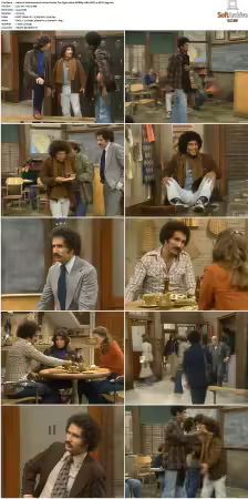 Welcome Back Kotter S01 S04 1080p WEBRip 10Bit DDP2.0 HEVC-d3g