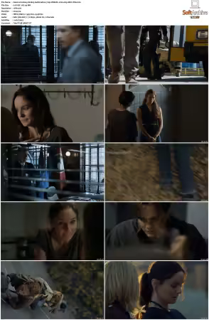 Colony S01 S03 720p WEB 2CH x265 HEVC-PSA