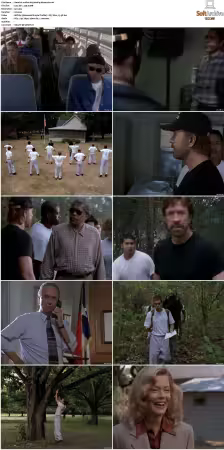 Walker Texas Ranger S01-S09 DVDRip XviD-Mixed