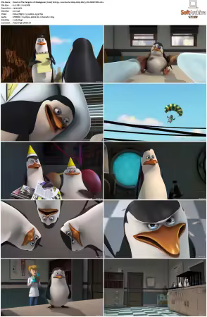 The Penguins of Madagascar 2008 S01-S03 1080p H265 AAC 2CH-MNKYDDL