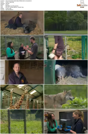 Animal Park S25 1080p iP WEB-DL AAC2.0 H264-AEK