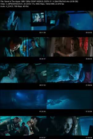 The Abyss 1989 1080p DSNP WEB-DL DDPA 5.1 H264-PiRaTeS