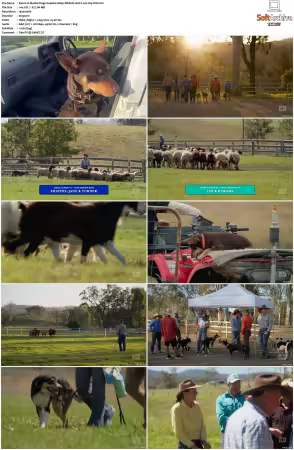 Muster Dogs S04 1080p WEB-DL AAC2.0 H264-WH