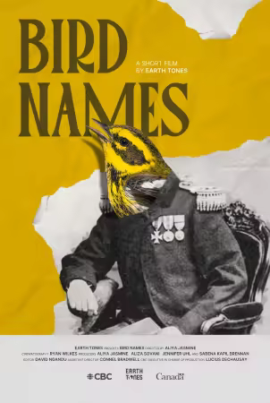 Bird Names 2026 1080p CBC WEB-DL DDP5 1 H 264-Kitsune
