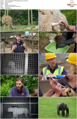Animal Park S25 1080p iP WEB-DL AAC2.0 H264-AEK