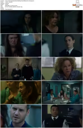 Wentworth S01-S09 1080p WEB h265-d3g