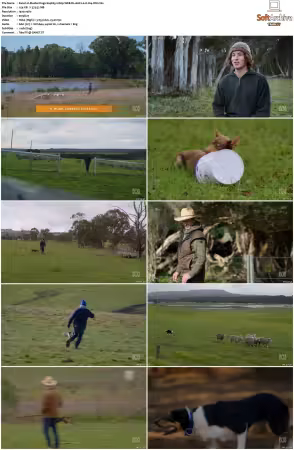 Muster Dogs S04 1080p WEB-DL AAC2.0 H264-WH