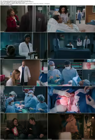 Greys Anatomy S22E12 720p WEB-DL H 264-Kaitu