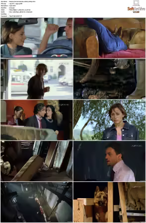 Kommissar Rex S01-S10 German 1080p HDTV x264-OMGtv