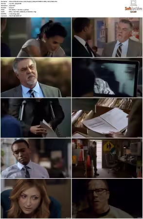 Rizzoli and Isles 2010 S01-S07 1080p NF WEB-DL DDP5.1 AV1-Vialle