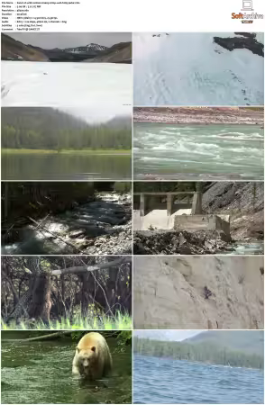 Wild Rockies S01 2160p WEB H265-JAVLAR