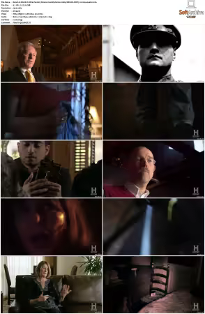 Weird Or What S01 S03 1080p WEB-DL DDP5.1 H264-squalor