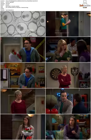 The Big Bang Theory S01-S12 German DL AC3 1080p BluRay x265-FuN