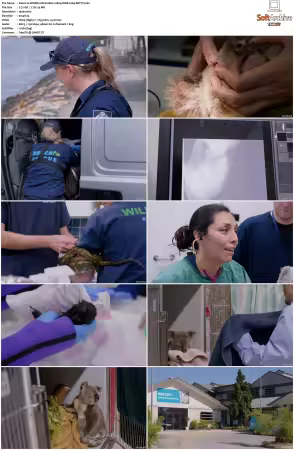 Wildlife ER S01S02 1080p WEB h264-BETTY