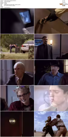 Walker Texas Ranger S01-S09 DVDRip XviD-Mixed