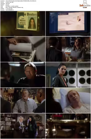 Rizzoli and Isles 2010 S01-S07 1080p NF WEB-DL DDP5.1 AV1-Vialle